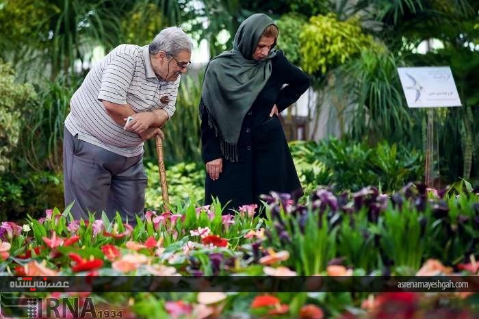 گزارش تصویری از پانزدهمین نمایشگاه فصلی گل و گیاه تهران