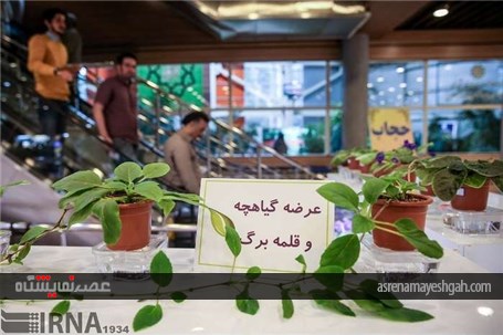گزارش تصویری از پانزدهمین نمایشگاه فصلی گل و گیاه تهران