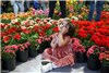 گزارش تصویری از پانزدهمین نمایشگاه بین المللی گل و گیاه و تجهیزات وابسته تهران