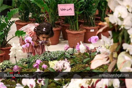 گزارش تصویری از پانزدهمین نمایشگاه بین المللی گل و گیاه و تجهیزات وابسته تهران