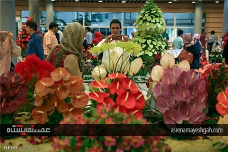 گزارش تصویری از پانزدهمین نمایشگاه بین المللی گل و گیاه و تجهیزات وابسته تهران