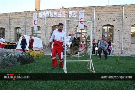 نمایشگاه دستاوردهای هلال احمر