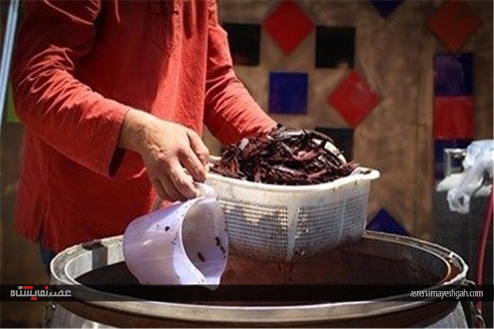 جشنواره گلاب گیری