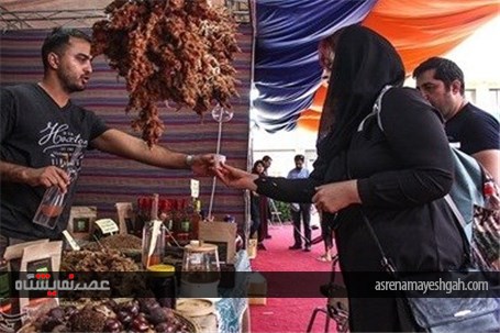جشنواره گلاب گیری