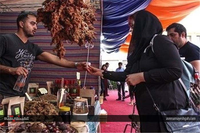 جشنواره گلاب گیری