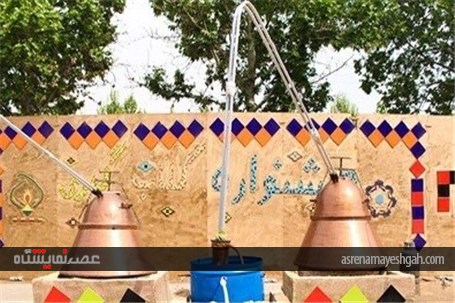 جشنواره گلاب گیری