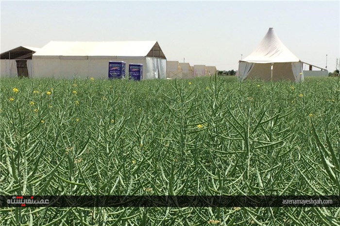 گزارش تصویری اقدامات برگزاری نخستین نمایشگاه بین المللی روزهای مزرعه در ایران