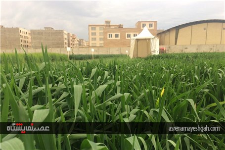 گزارش تصویری اقدامات برگزاری نخستین نمایشگاه بین المللی روزهای مزرعه در ایران