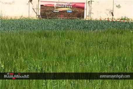گزارش تصویری اقدامات برگزاری نخستین نمایشگاه بین المللی روزهای مزرعه در ایران