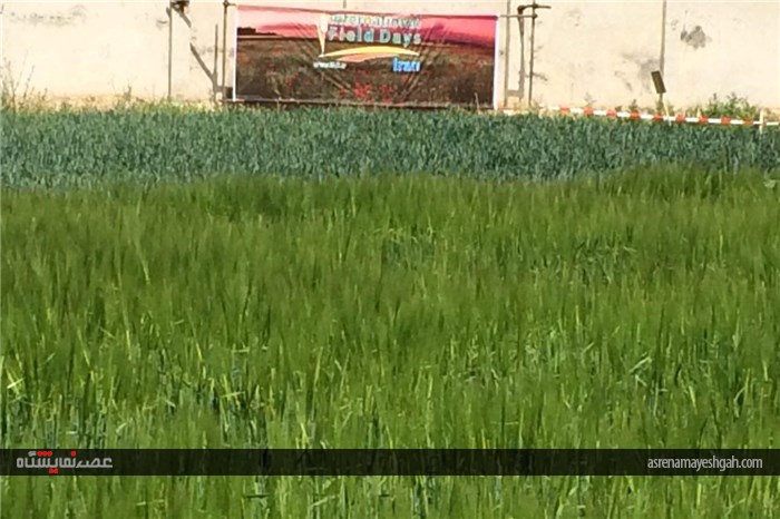 گزارش تصویری اقدامات برگزاری نخستین نمایشگاه بین المللی روزهای مزرعه در ایران