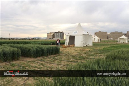 گزارش تصویری اقدامات برگزاری نخستین نمایشگاه بین المللی روزهای مزرعه در ایران