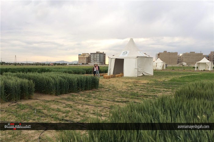 گزارش تصویری اقدامات برگزاری نخستین نمایشگاه بین المللی روزهای مزرعه در ایران