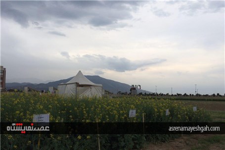 گزارش تصویری اقدامات برگزاری نخستین نمایشگاه بین المللی روزهای مزرعه در ایران