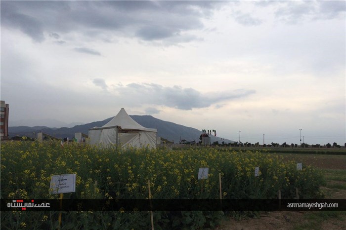 گزارش تصویری اقدامات برگزاری نخستین نمایشگاه بین المللی روزهای مزرعه در ایران