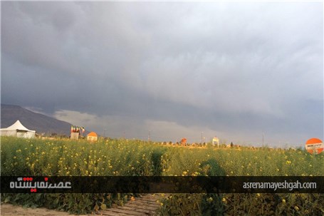 گزارش تصویری اقدامات برگزاری نخستین نمایشگاه بین المللی روزهای مزرعه در ایران