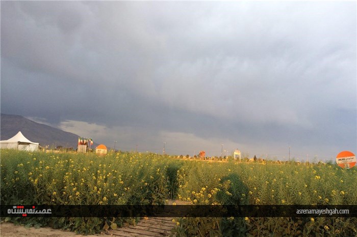 گزارش تصویری اقدامات برگزاری نخستین نمایشگاه بین المللی روزهای مزرعه در ایران