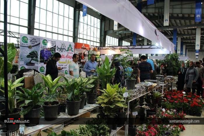 نمایشگاه گل و گیاه در زنجان