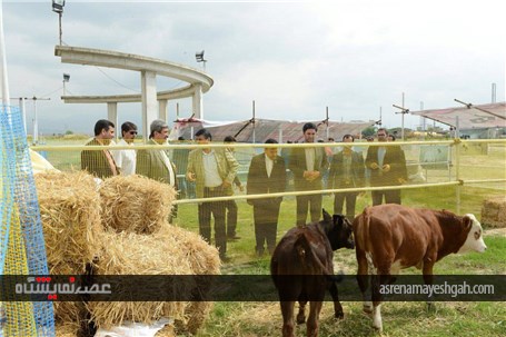 گزارش تصویری از مراسم افتتاحیه نمایشگاه بین المللی صنعت دام و طیور، شیلات ، آبزیان و صنایع وابسته