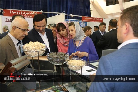 گزارش تصویری نمایشگاه توانمندی های ایران و روسیه