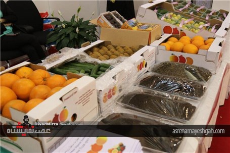 گزارش تصویری نمایشگاه توانمندی های ایران و روسیه