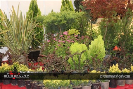 گزارش تصویری نمایشگاه توانمندی های ایران و روسیه