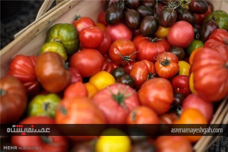 گزارش تصویری از نمایشگاه گل و گیاه چلسی‎