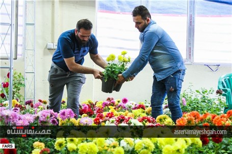 گزارش تصویری نمایشگاه گل و گیاه در کرمان