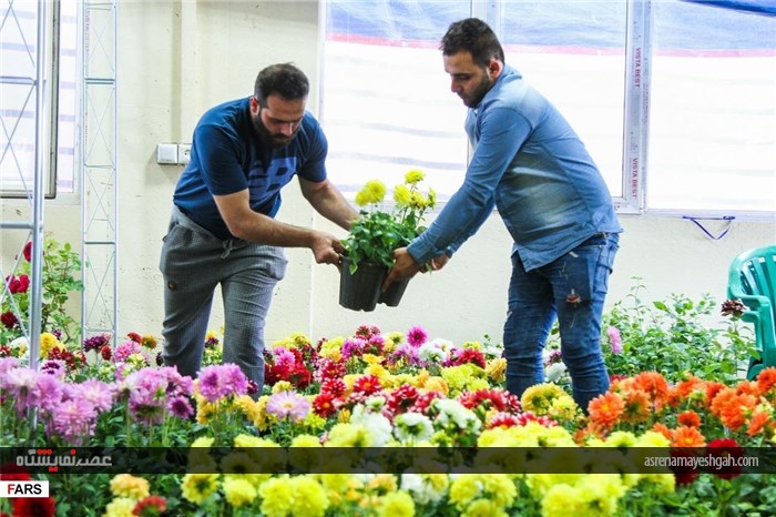 گزارش تصویری نمایشگاه گل و گیاه در کرمان