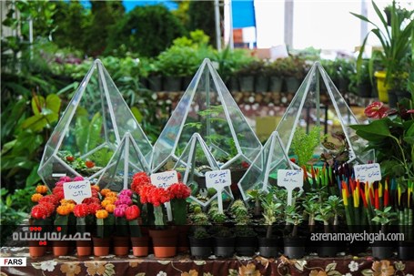 گزارش تصویری نمایشگاه گل و گیاه در کرمان