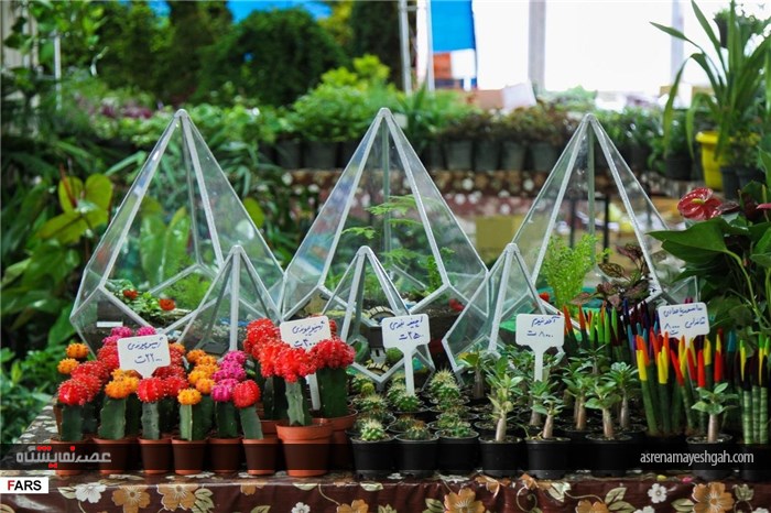 گزارش تصویری نمایشگاه گل و گیاه در کرمان