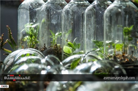 گزارش تصویری نمایشگاه گل و گیاه در کرمان