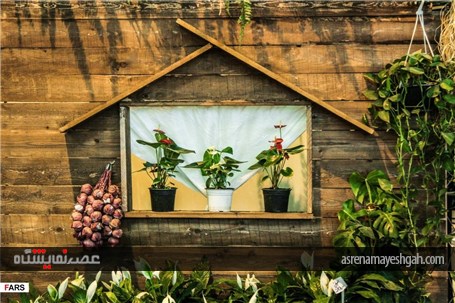 گزارش تصویری نمایشگاه گل و گیاه در کرمان