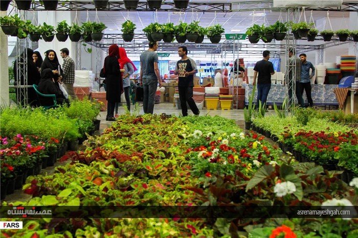 گزارش تصویری نمایشگاه گل و گیاه در کرمان