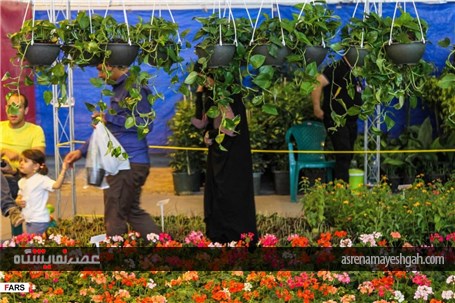گزارش تصویری نمایشگاه گل و گیاه در کرمان