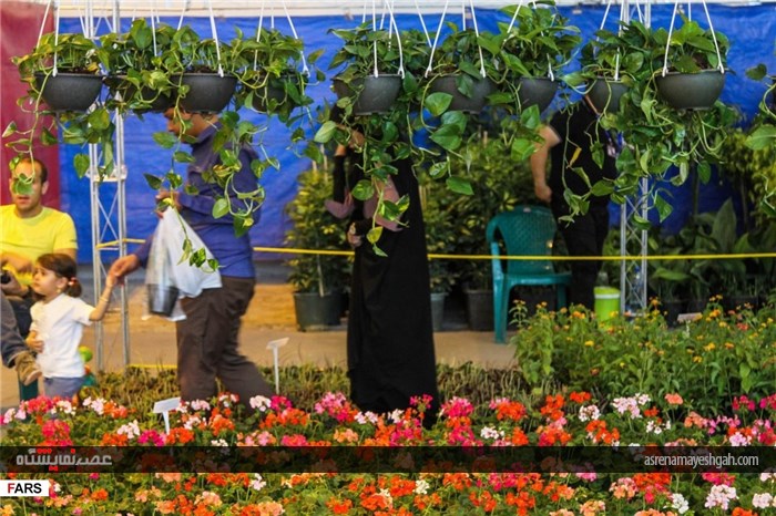 گزارش تصویری نمایشگاه گل و گیاه در کرمان