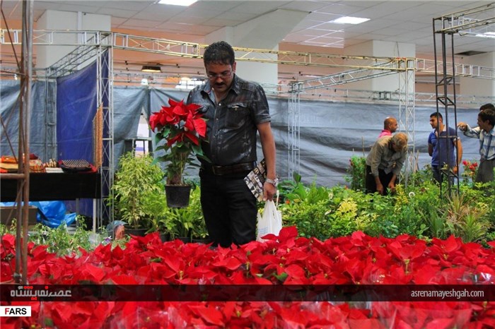 گزارش تصویری نمایشگاه گل و گیاه در کرمان