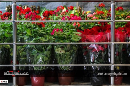 گزارش تصویری نمایشگاه گل و گیاه در کرمان