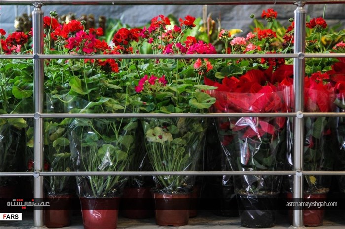 گزارش تصویری نمایشگاه گل و گیاه در کرمان