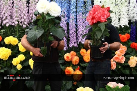 نمایشگاه گل و گیاه چلسی سال 2017 میلادی