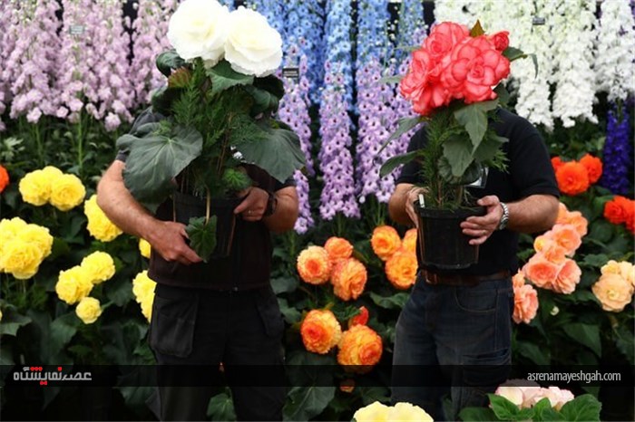 نمایشگاه گل و گیاه چلسی سال 2017 میلادی