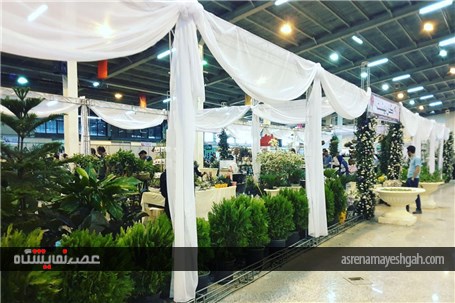 گزارش تصویری ششمین نمایشگاه گل و گیاه،فضای سبز و ماهیان زینتی