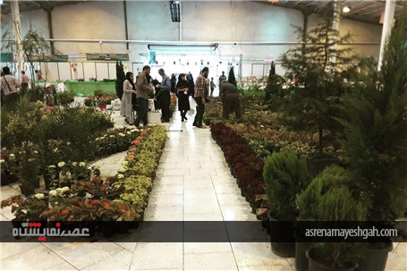 گزارش تصویری ششمین نمایشگاه گل و گیاه،فضای سبز و ماهیان زینتی