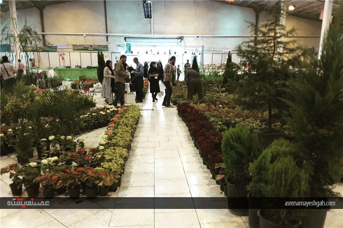 گزارش تصویری ششمین نمایشگاه گل و گیاه،فضای سبز و ماهیان زینتی