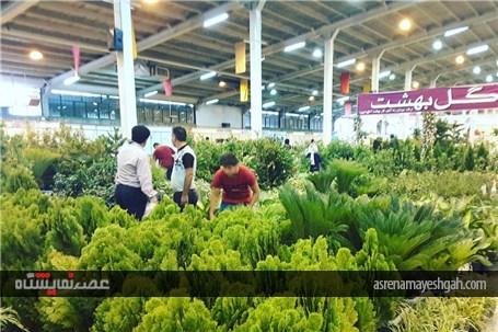 گزارش تصویری ششمین نمایشگاه گل و گیاه،فضای سبز و ماهیان زینتی