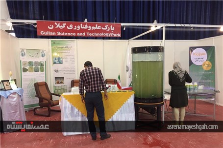 گزارش تصویری از آماده سازی نمایشگاه های دریایی و شیلات در انزل