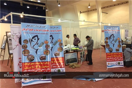 گزارش تصویری از آماده سازی نمایشگاه های دریایی و شیلات در انزلی