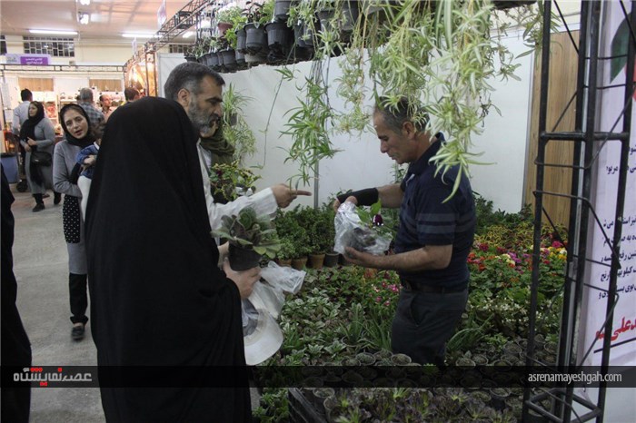 استقبال از نمایشگاه مبلمان و خدمات شهری،گل و گیاه و کیف و کفش چرم