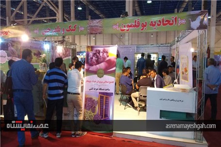 گزارش تصویری استقبال بازدید کنندگان از نمایشگاه دام، طیور وآبزیان مشهد