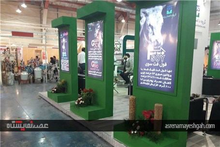 گزارش تصویری نمایشگاه دام و طیور باحضور معاون توسعه اقتصادی استانداری قزوین