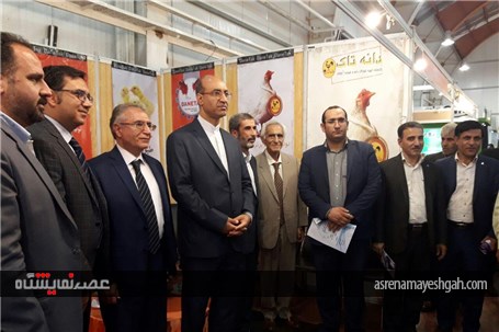 گزارش تصویری نمایشگاه دام و طیور باحضور معاون توسعه اقتصادی استانداری قزوین